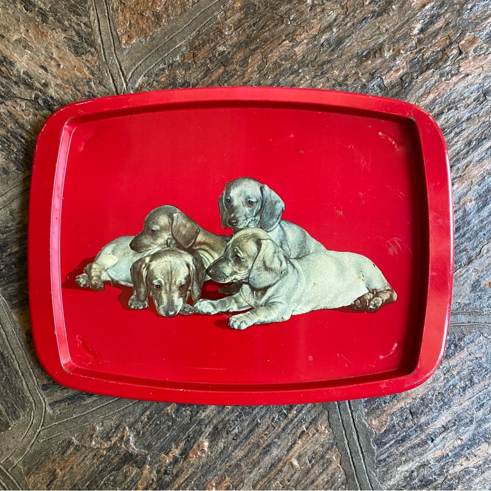 Vintage serving Tray with Dachshund Puppies